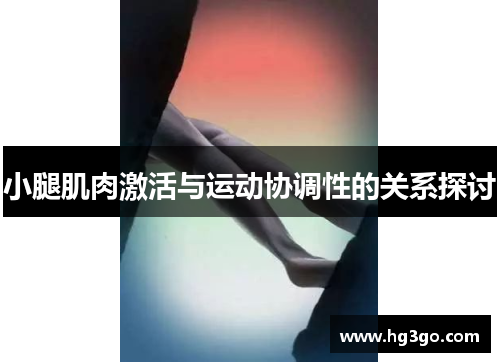 小腿肌肉激活与运动协调性的关系探讨